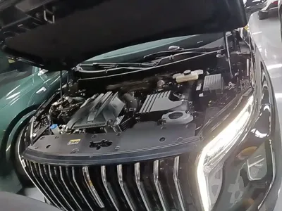 Hongqi Hongqi HS7 PHEV