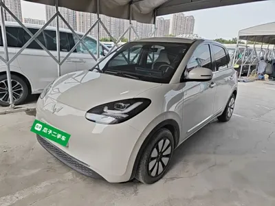 Wuling Bingo