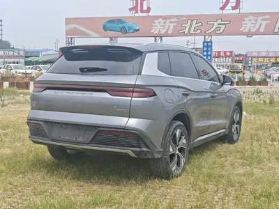 BYD Pro New Energy