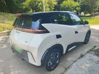 BYD Seagull