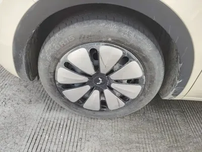Wuling Bingo