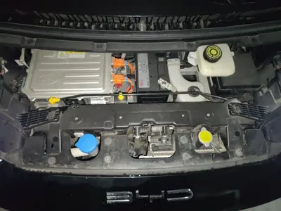 BYD Seagull