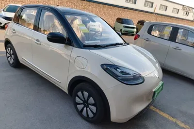 Wuling Bingo