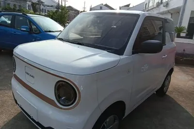 Geely Galaxy Panda