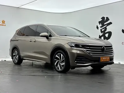 Volkswagen Viloran