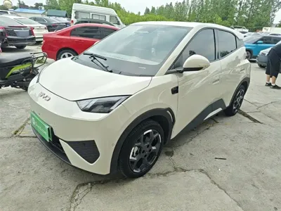 BYD Seagull