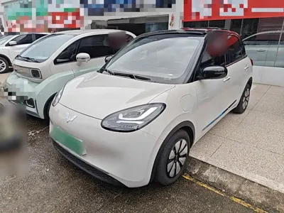 Wuling Bingo