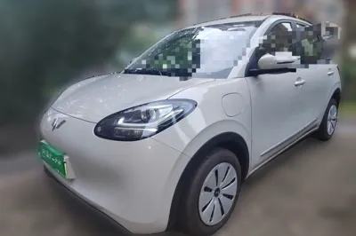Wuling Bingo