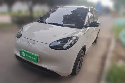 Wuling Bingo
