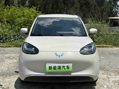 Wuling Bingo