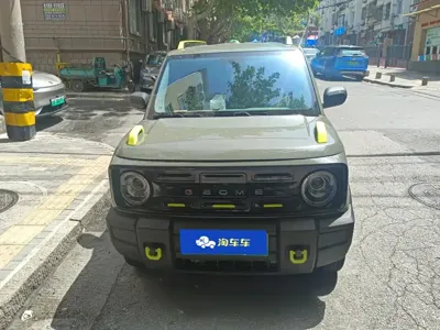 Galaxy Panda