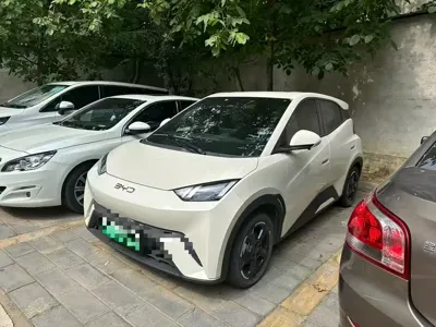 BYD Seagull
