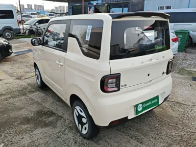 Geely Galaxy Panda