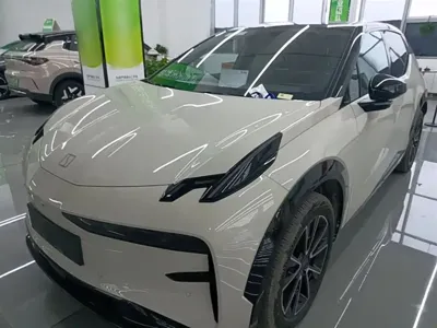 Zeekr X