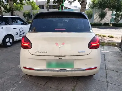 Wuling Bingo