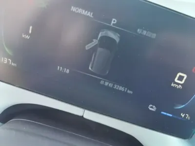 BYD Seagull