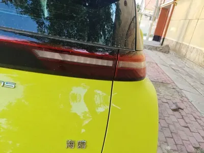BYD Seagull