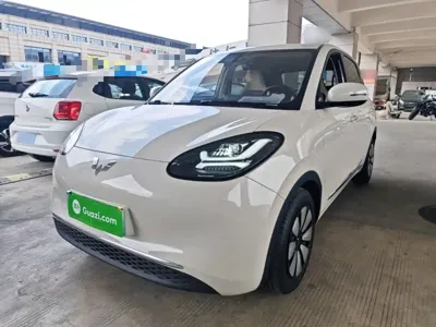 Wuling Bingo