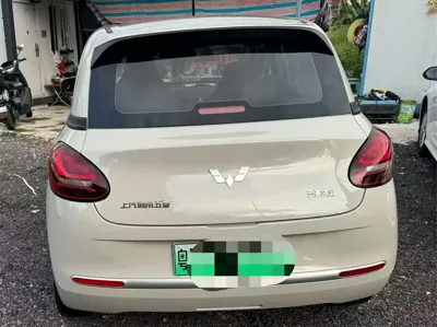 Wuling Bingo