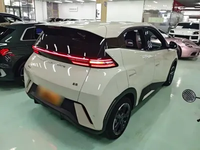 BYD Seagull