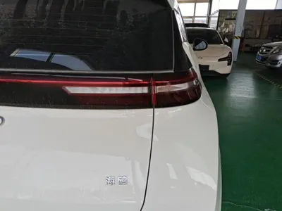 BYD Seagull