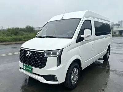 Maxus V80