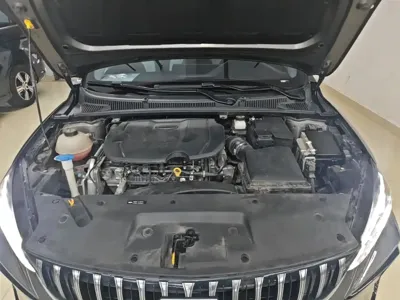 Geely Binrui