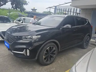 WEY Wey VV6