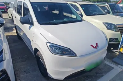 Wuling Hongguang New Energy