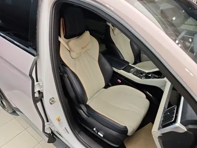 BYD PLUS New Energy