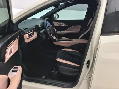 BYD Seagull