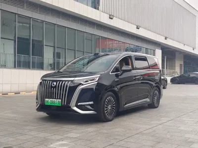 Denza Denza D9