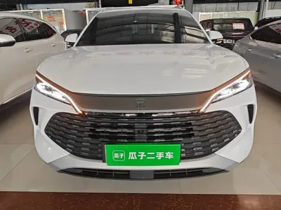 BYD L DM-i