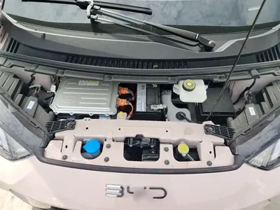 BYD Seagull
