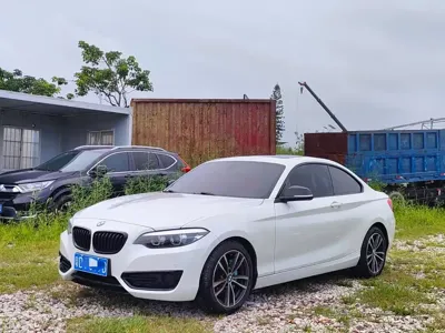 BMW 2 Series (Import)