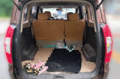 Wuling Hongguang