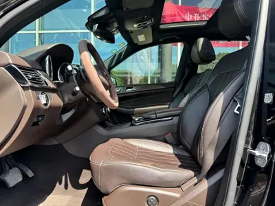 Mercedes-Benz 奔驰GLE(进口)
