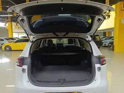 BYD Tang