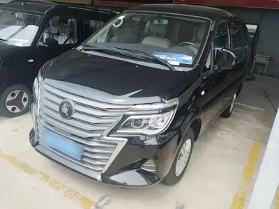 Fengxing Lingzhi