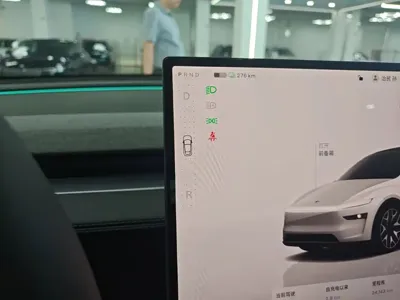 Tesla Model Y L