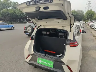BYD Seagull