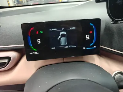 BYD Seagull