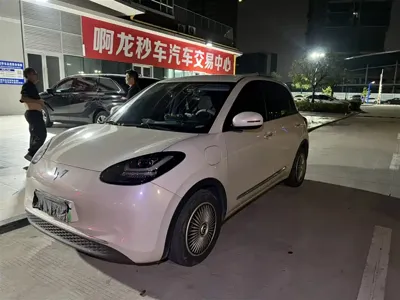 Wuling Bingo