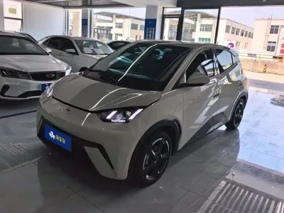 BYD Seagull