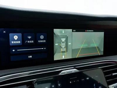 Hongqi Hongqi E-HS9
