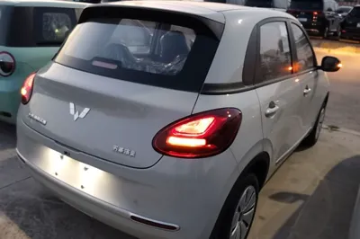 Wuling Bingo