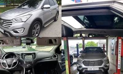 Hyundai Maxcruz