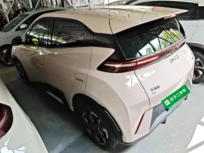 BYD Seagull