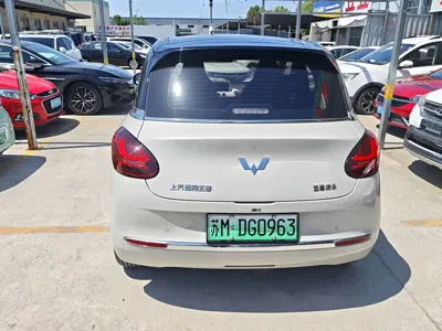 Wuling Bingo
