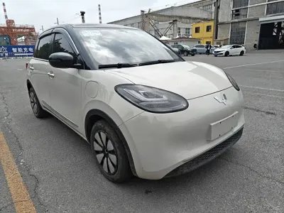 Wuling Bingo